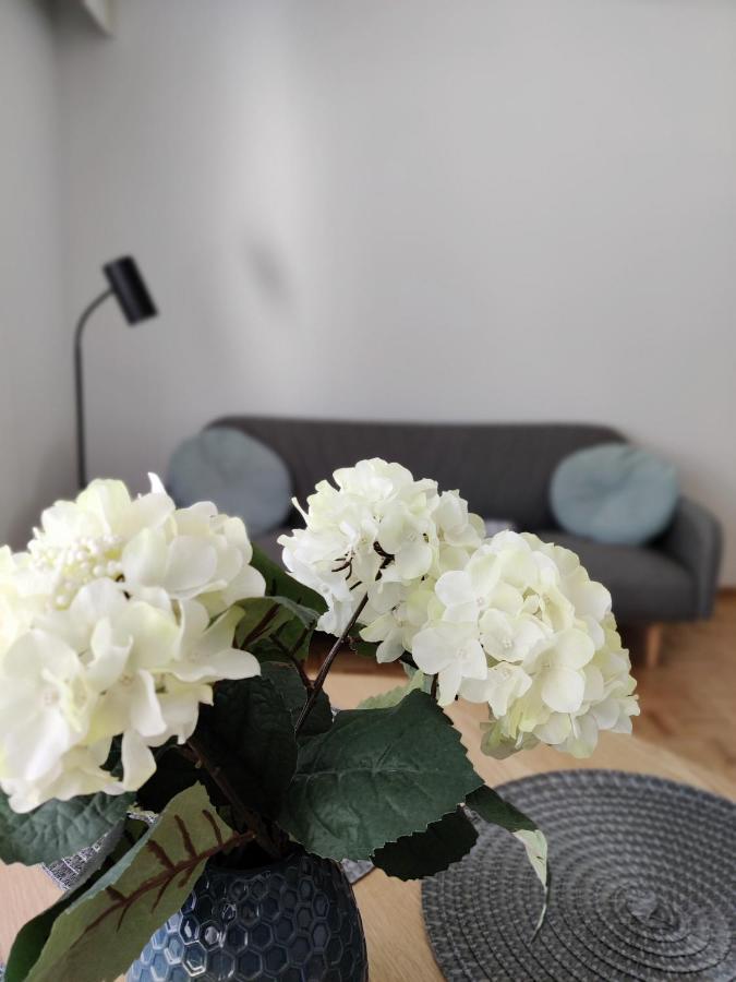 Niinivaara Apartment Saunallinen Ja Ilmastoitu Majoitus Joensuu Exterior foto